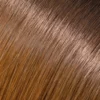 Ombre-Farbe Nr. 2/27A