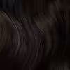 #2 (dark chestnut)