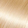 Color #1001 (Platinum Blond)